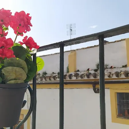 Apartman Sherryflat Buleria